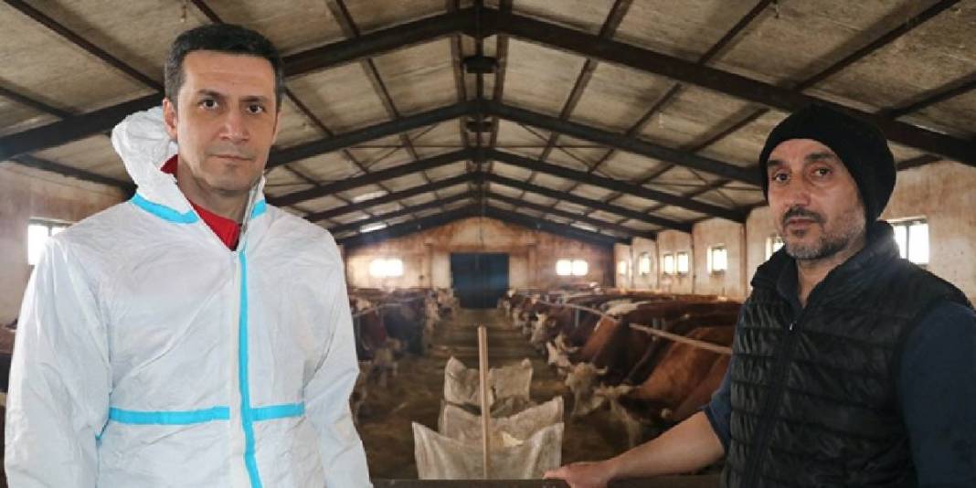 Devletten %50 hibe aldı: 10 yıldır 140 büyükbaş bakımını özenle yapıyor 4